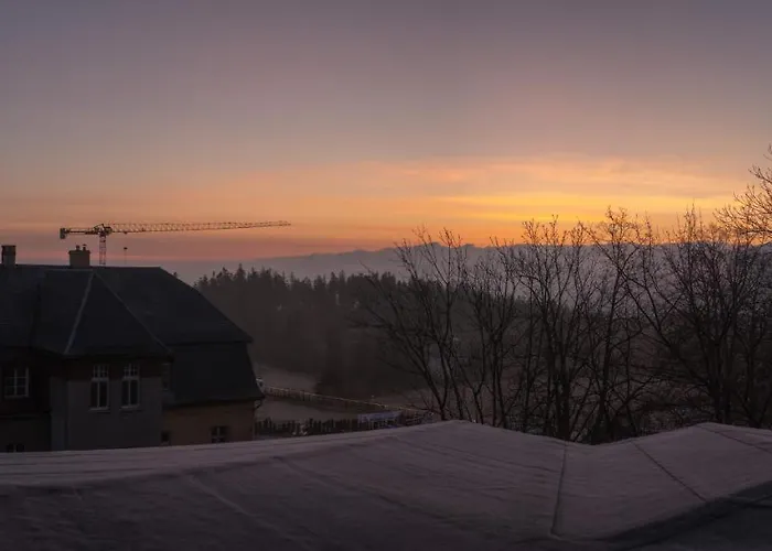 Karpatti * 카르파츠